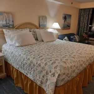 A Happy Seashell Story Aparthotel
